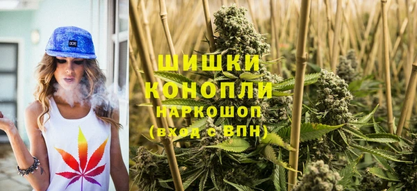 СК Осинники