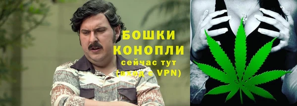 СК Осинники
