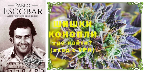 СК Осинники