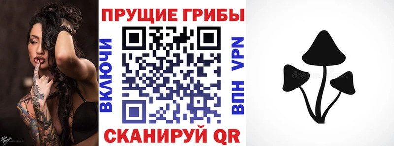Галлюциногенные грибы Cubensis  Кизел 
